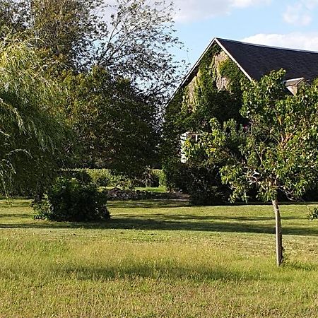 Gite Le Campagnard Saint-Germain-Des-Bois  Exterior photo